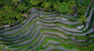 Land