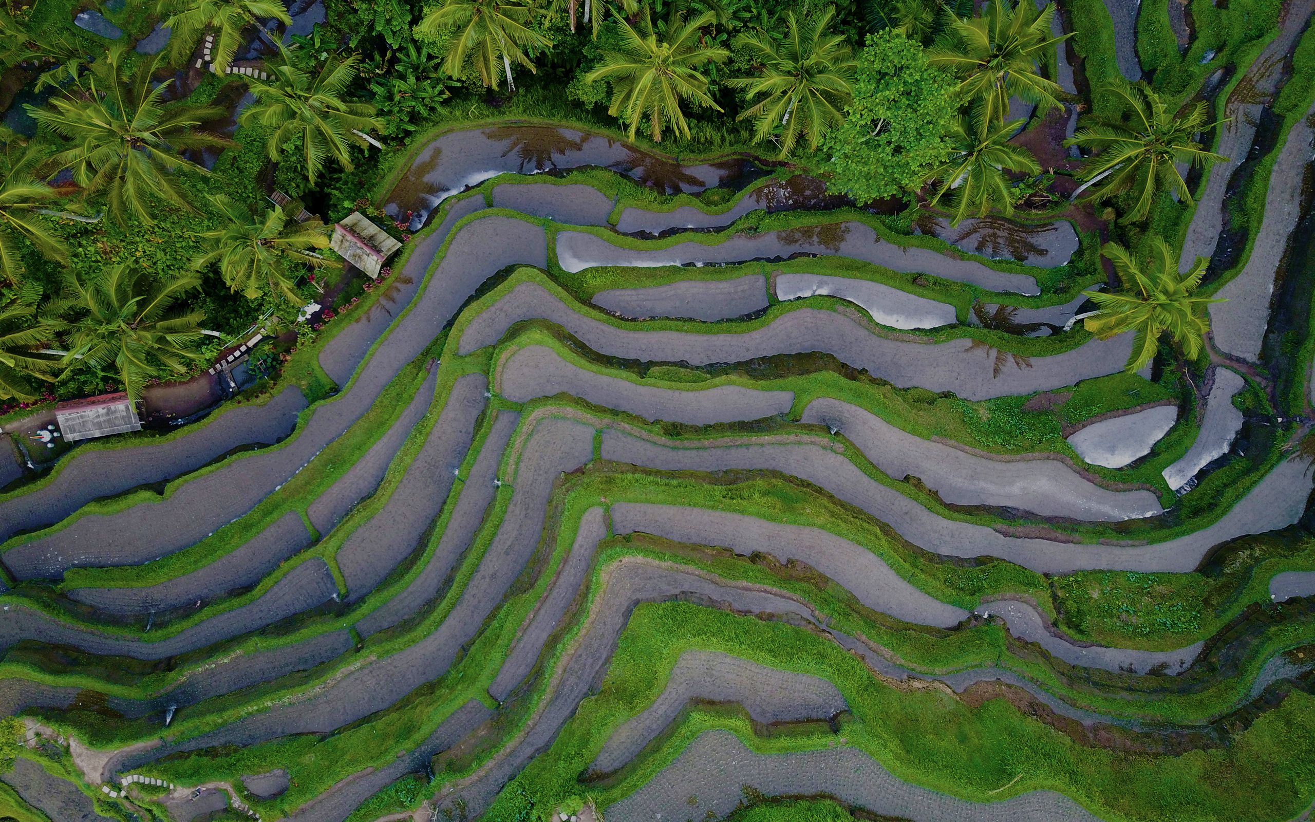 Land